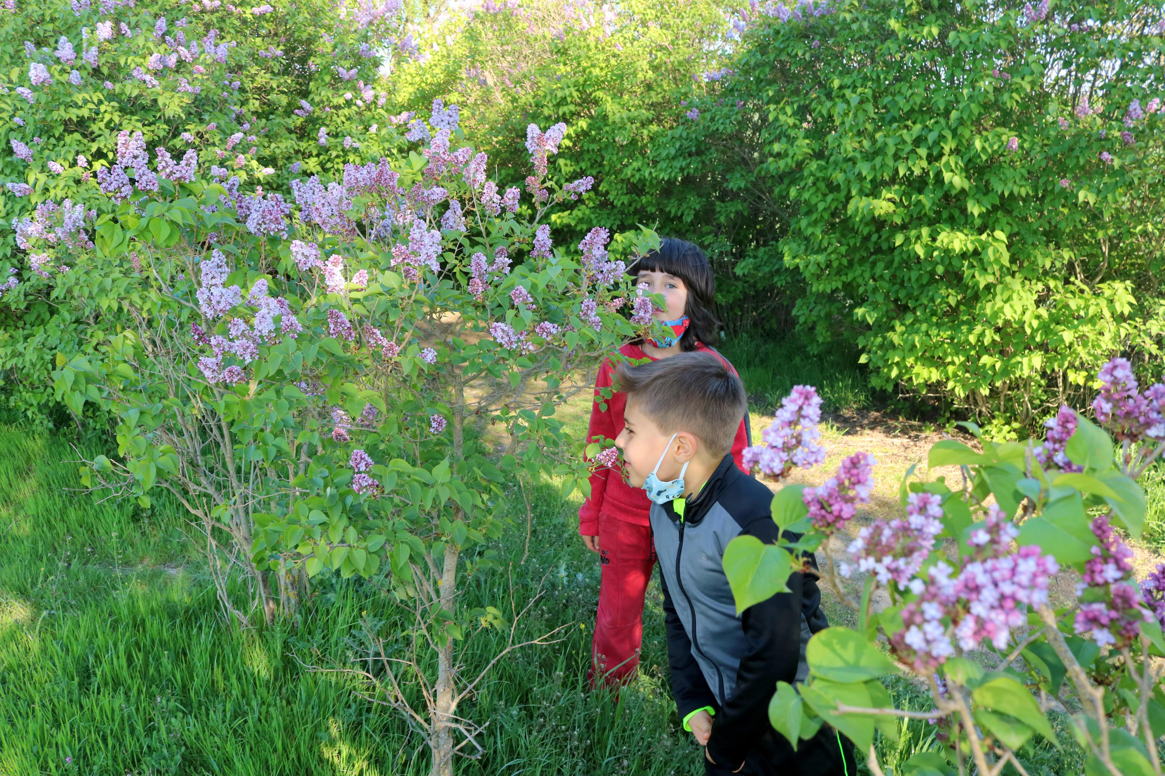 El Paseo de las Lilas es un atractivo para niños y mayores