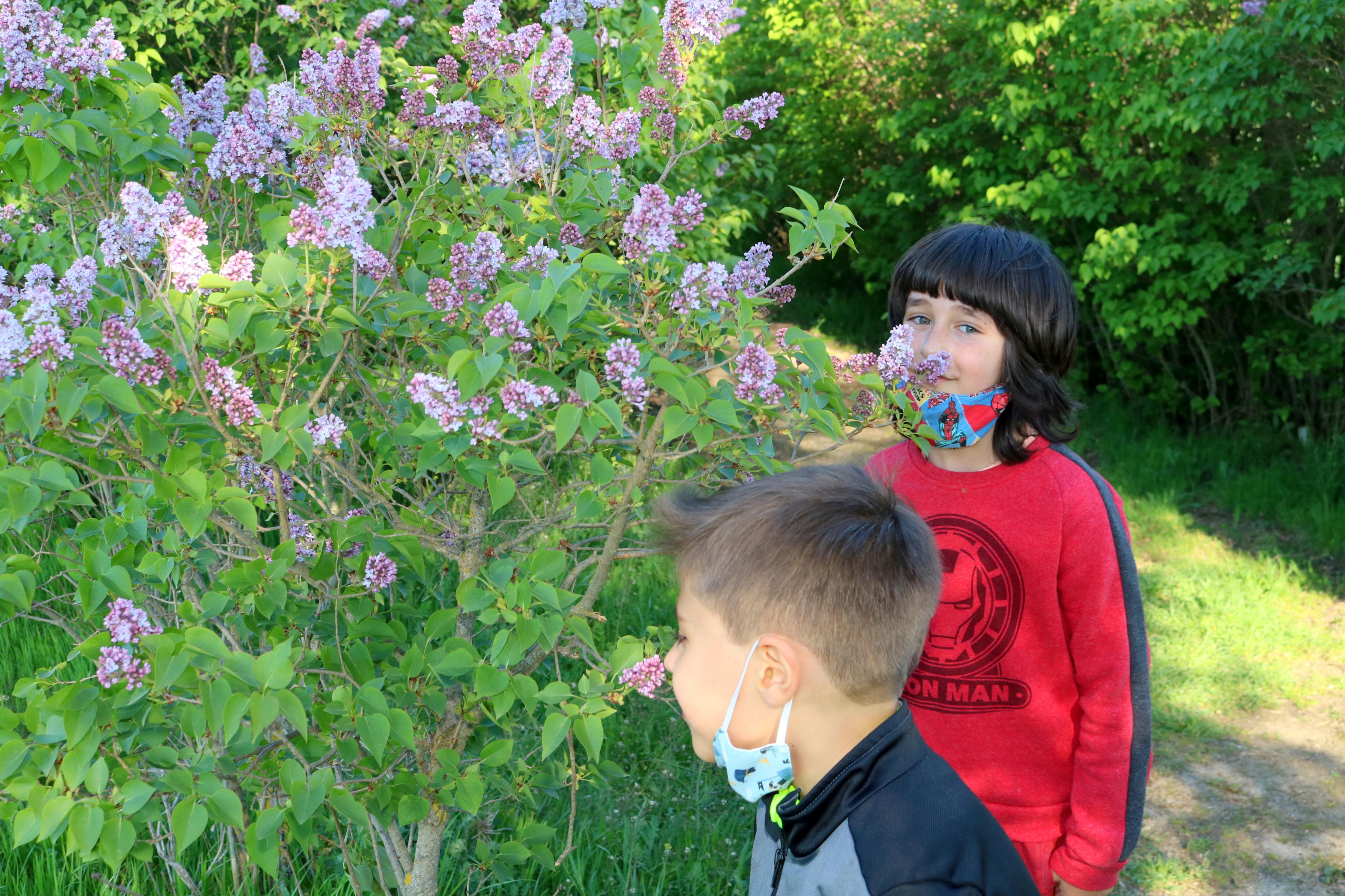 El Paseo de las Lilas es un atractivo para niños y mayores