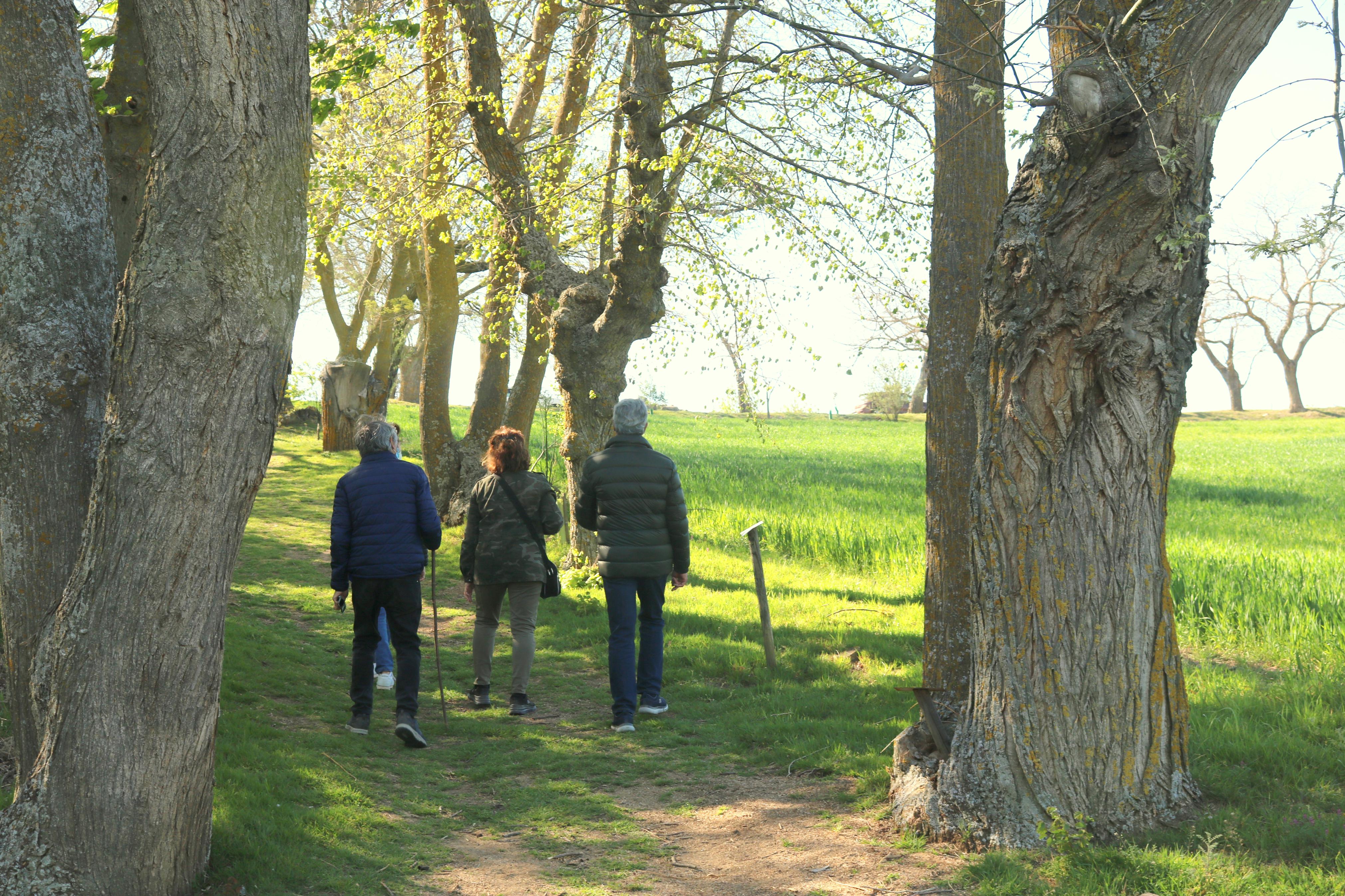 El Paseo de las Lilas es un atractivo para niños y mayores