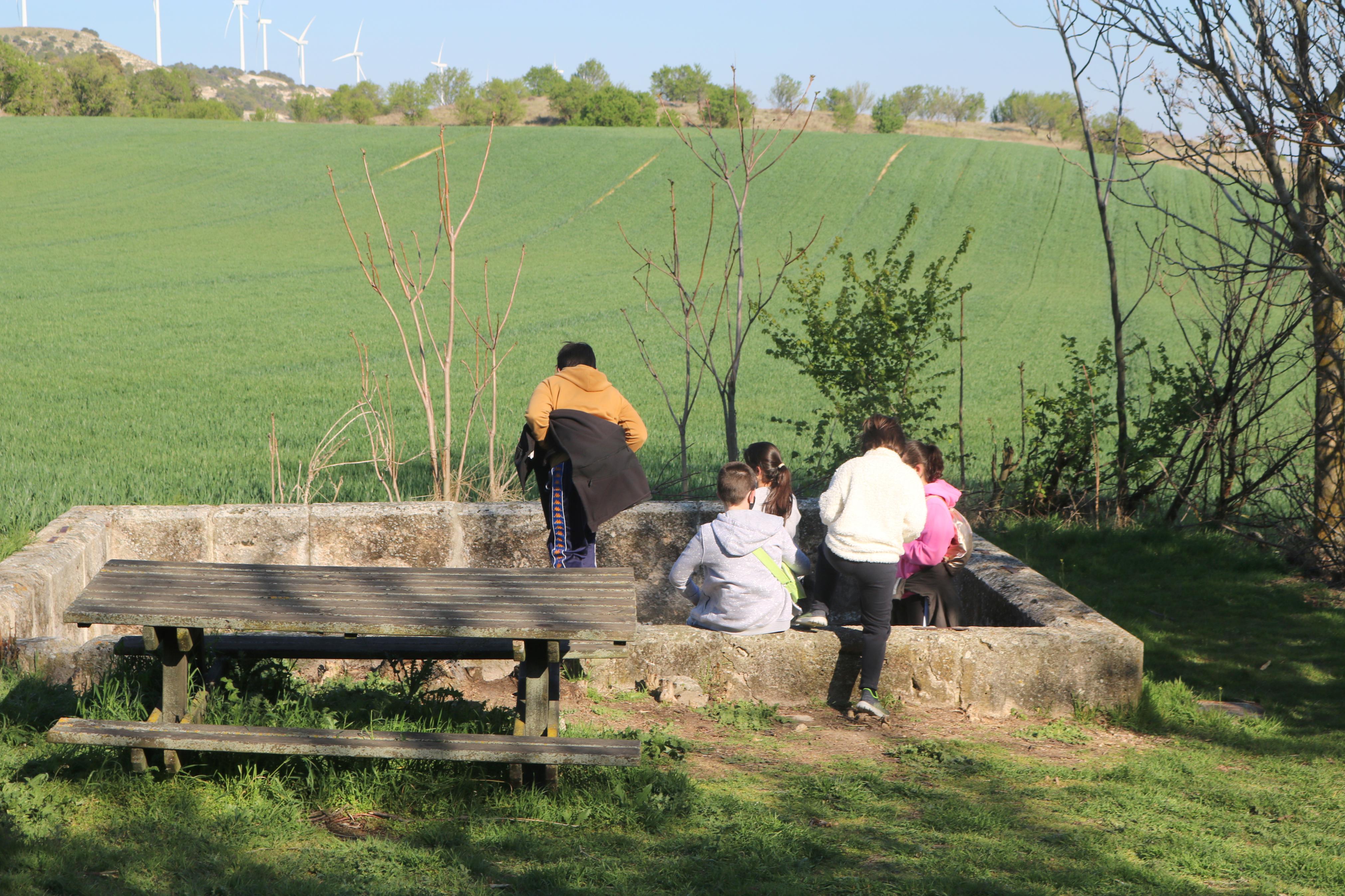 El Paseo de las Lilas es un atractivo para niños y mayores