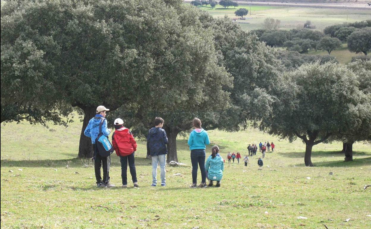 Escolares salmantinos, durante una salida al campo.