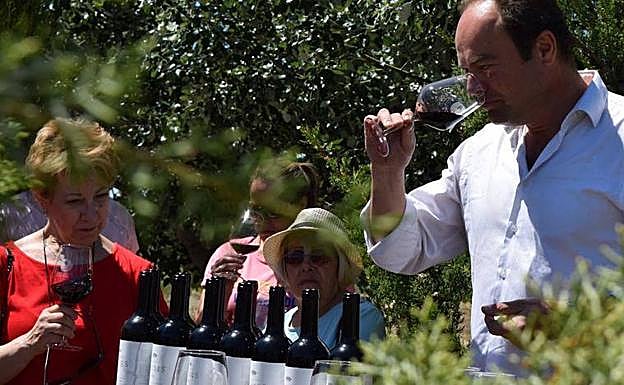 El vino es un elemento importante en el patrimonio inmaterial de la provincia.