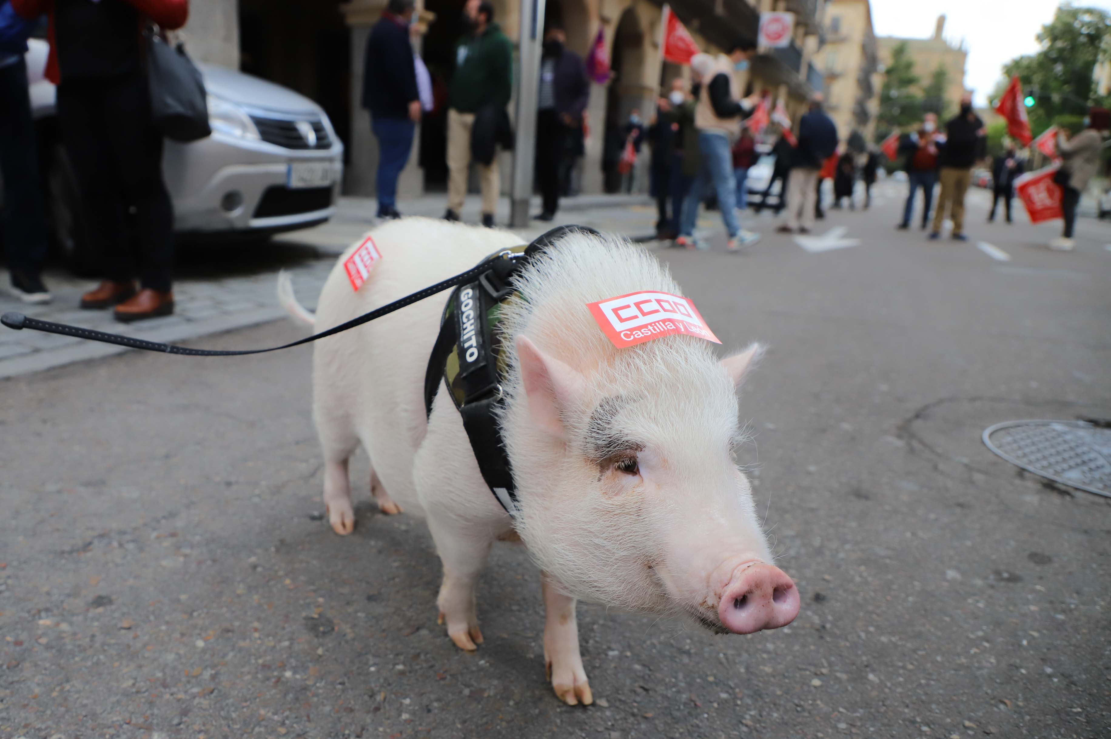 Manifestación por el Día del Trabajador