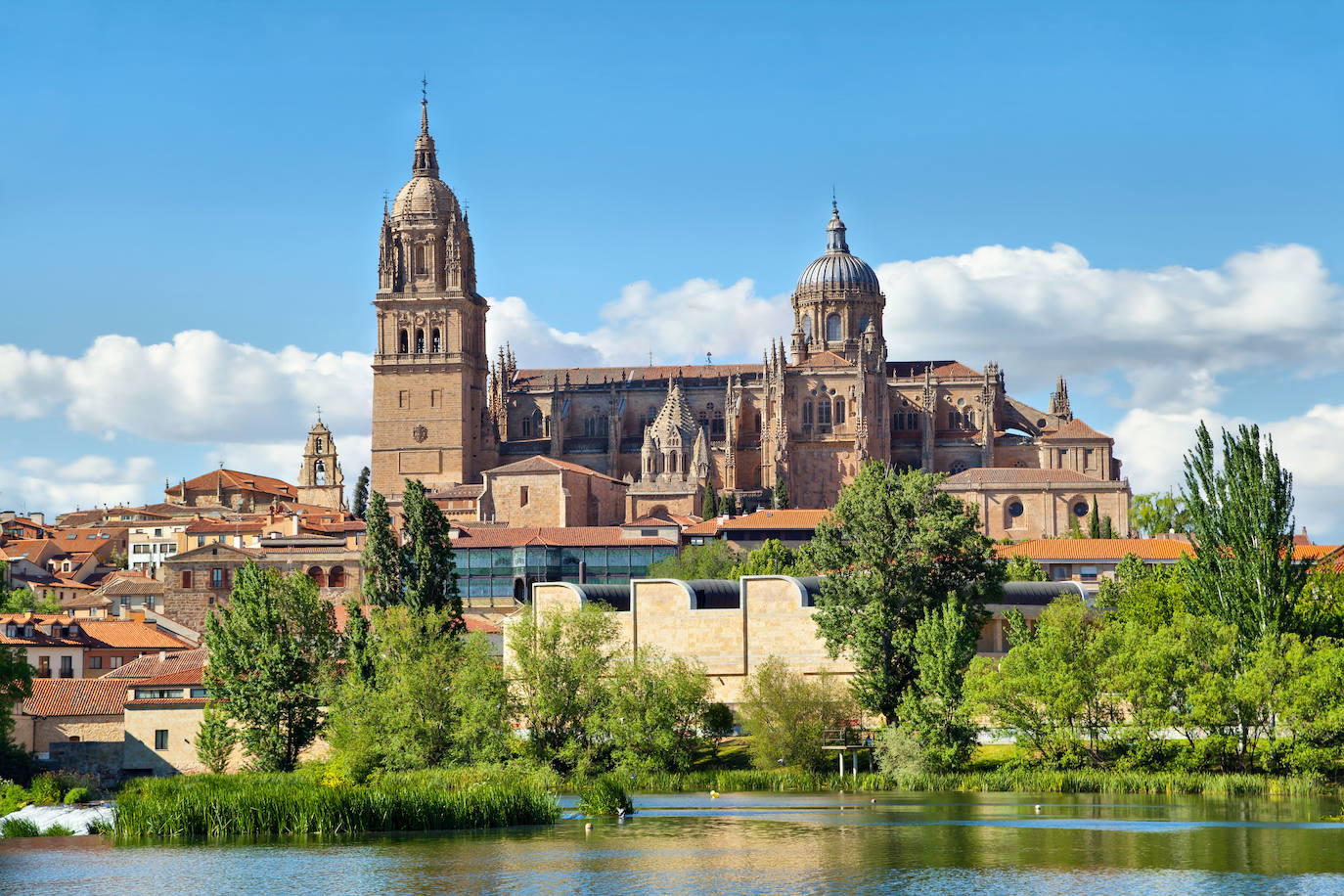 Catedral de Salamanca | La Catedral de Salamanca, llamada popularmente Catedral Nueva, es una de las dos que tiene la ciudad de Salamanca, junto a la Catedral Vieja. Fue construida entre los siglos XVI y XVIII mezclando los estilos gótico tardío, renacentista y barroco. Es la segunda mayor catedral de España en dimensiones y su campanario, con 93 metros de altura, también es de los más altos.