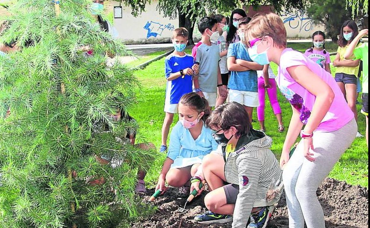 Actividad de la edición del año pasado. 