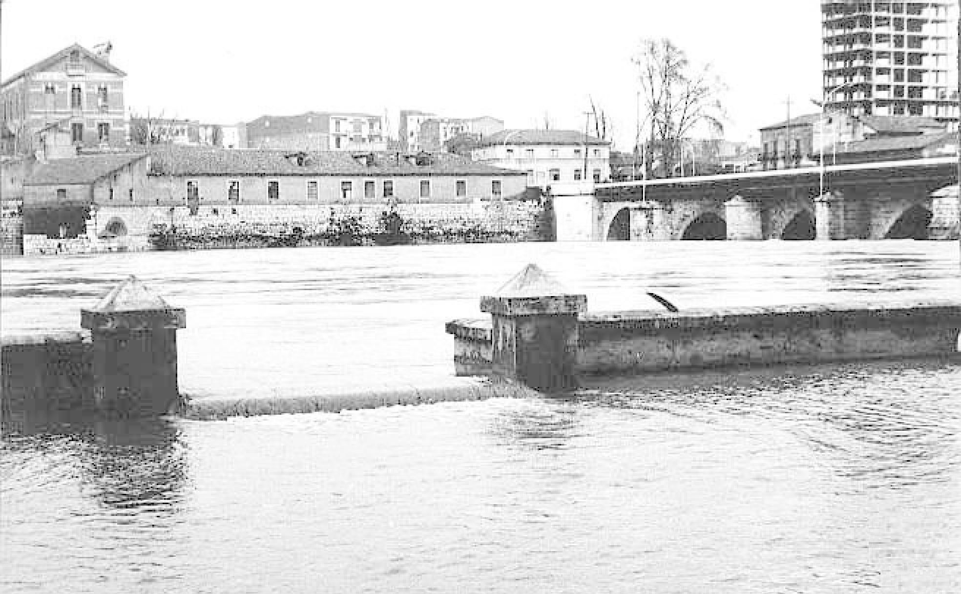 La chopera de las Moreras inundada por la crecida del rio Pisuerga.