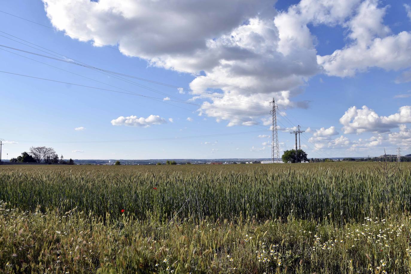 UEste distrito de Valladolid nació hace más o menos cincuenta años 