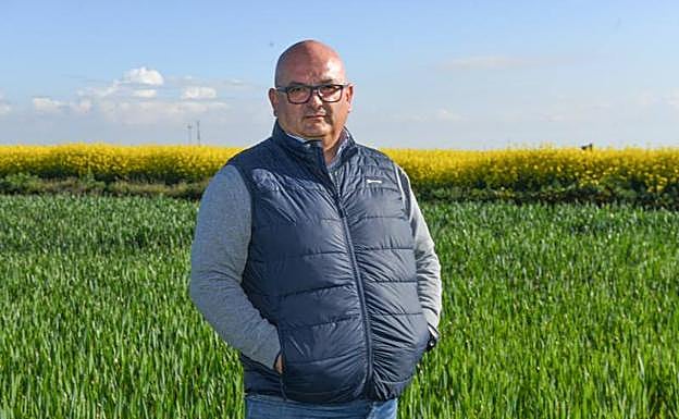 Armando Caballero posa para la entrevista en una parcela de cereal.