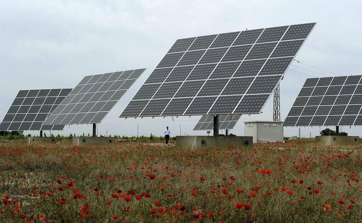 Paneles solares en una imagen de archivo.