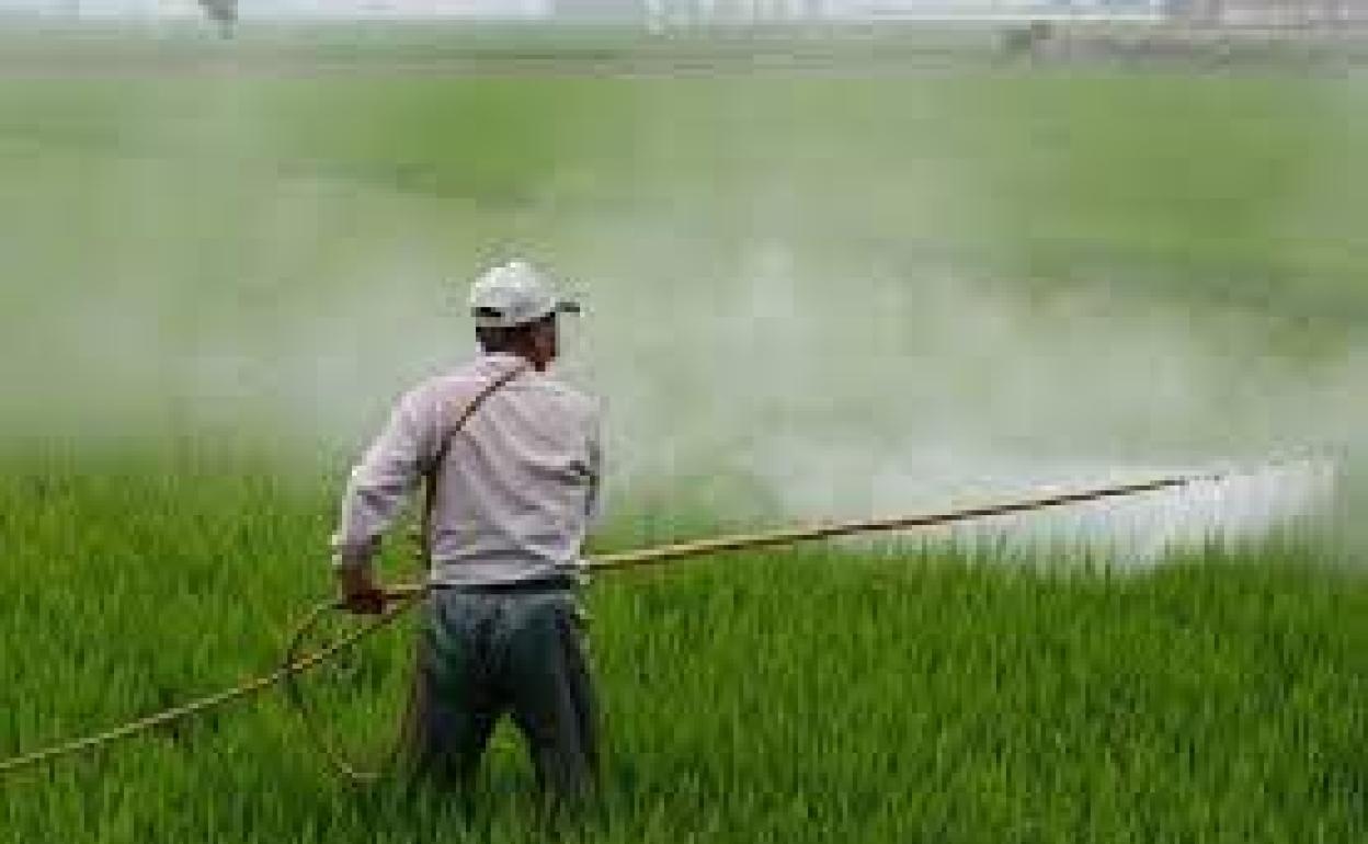 Un hombre realiza tareas de fumigación 