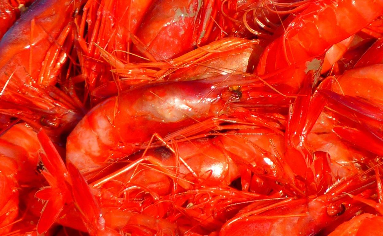 Recetario Degusta: Ricos langostinos a la crema