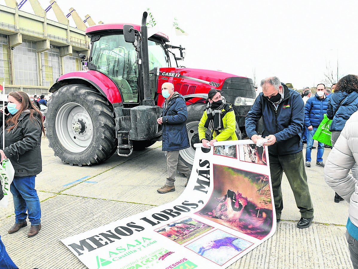 Manifestación de protesta contra el lobo, celebrada el pasado mes de marzo en Valladolid. 