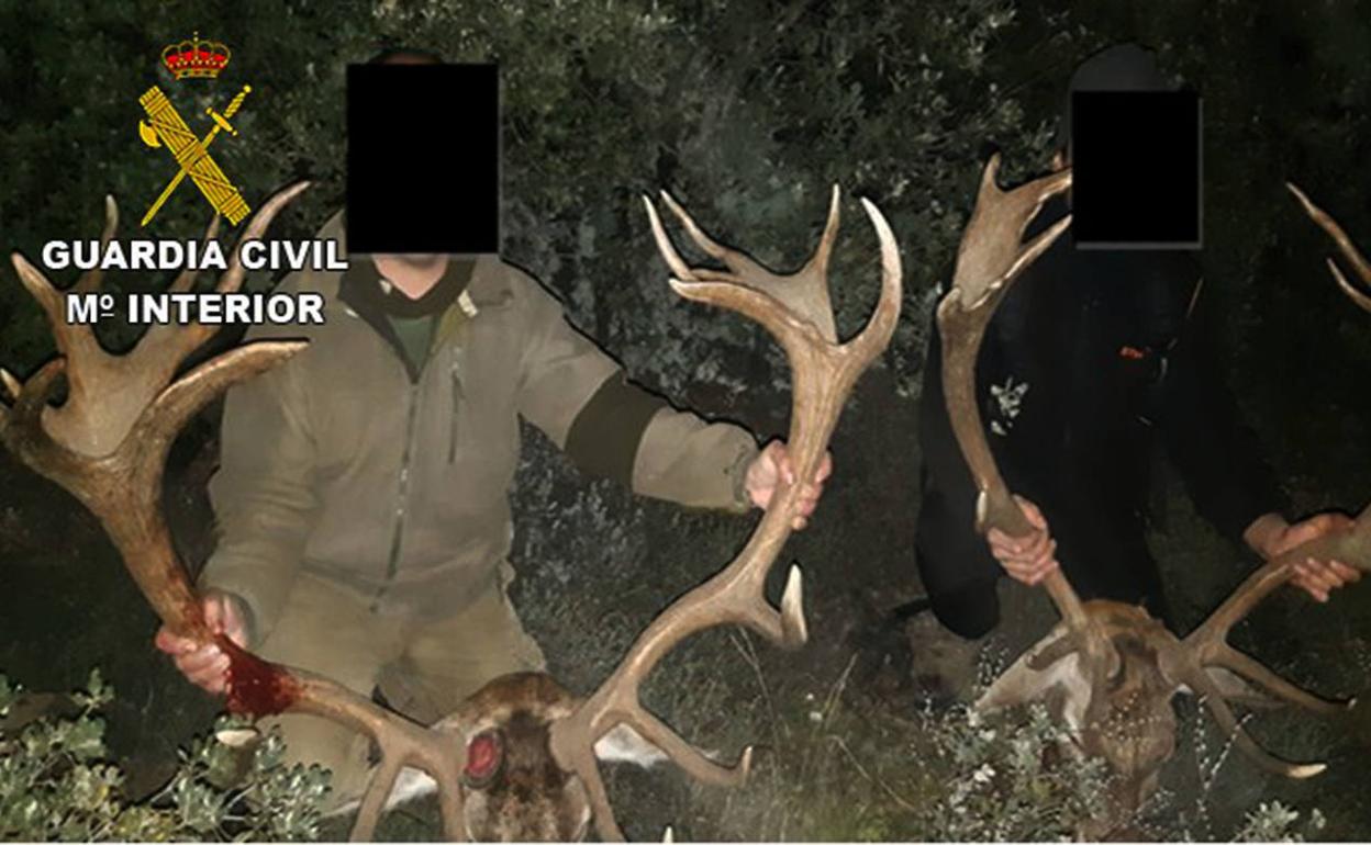 Los trofeos de caza exhibidos, en una fotografía dustribuida por la Guardia Civil. 