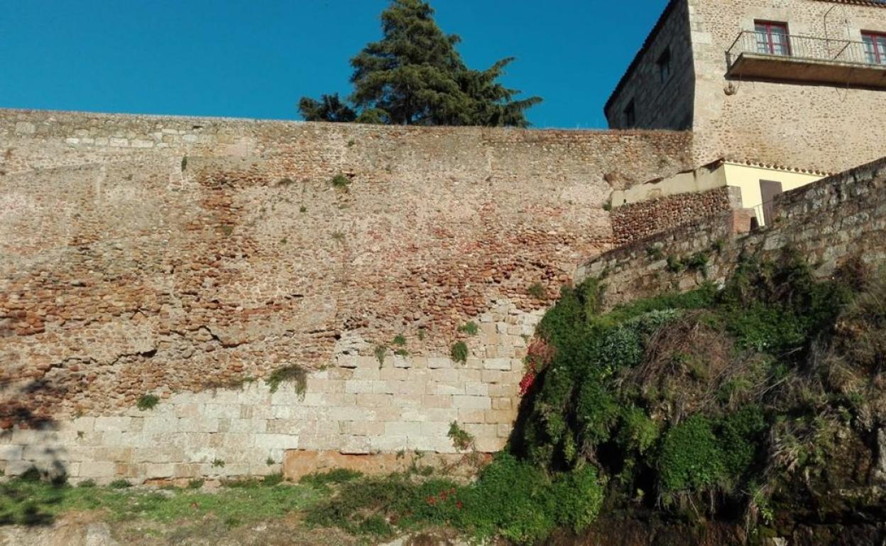 Zona en la que se prevé la actuación. 