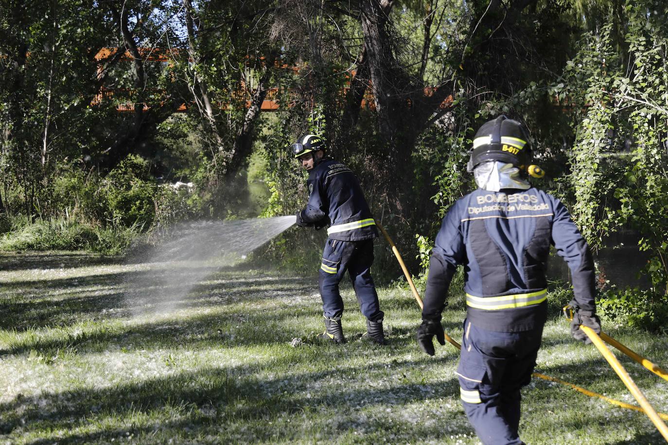 Fotos: Los Bomberos sofocan un incendio de pelusas en Peñafiel