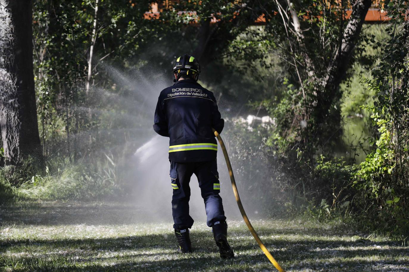 Fotos: Los Bomberos sofocan un incendio de pelusas en Peñafiel