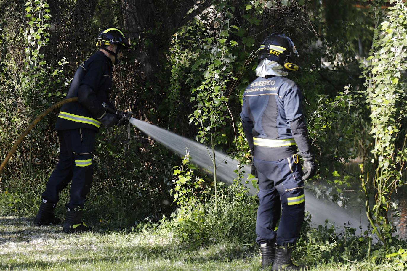 Fotos: Los Bomberos sofocan un incendio de pelusas en Peñafiel