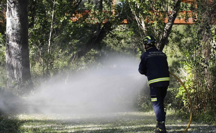 Los Bomberos sofocan un incendio de pelusas en Peñafiel