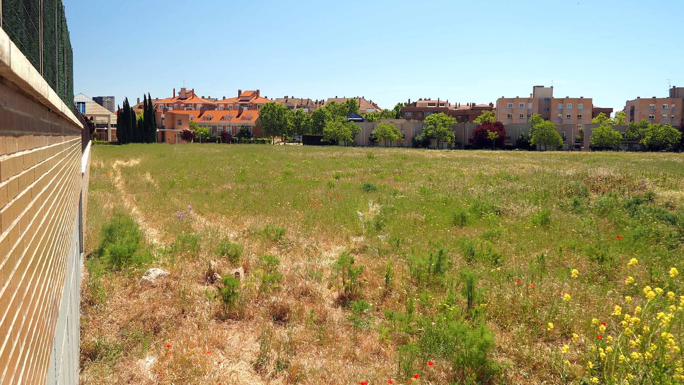 Este barrio sirve de conexión entre el paseo Zorrilla y el distrito de Covaresa