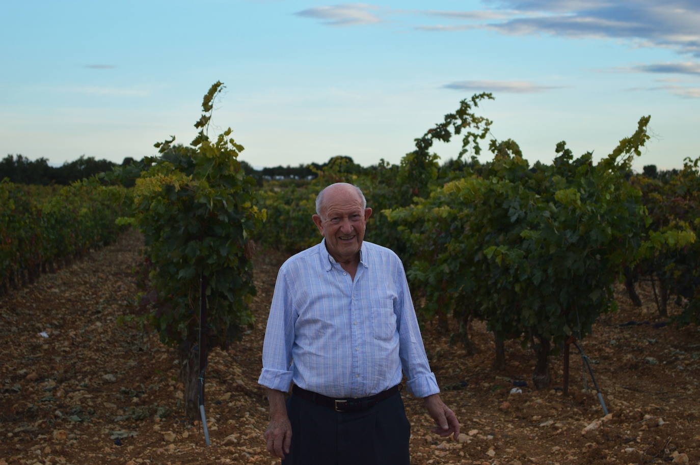 Alejandro Fernández, en sus viñedos de Pesquera en 2014. 