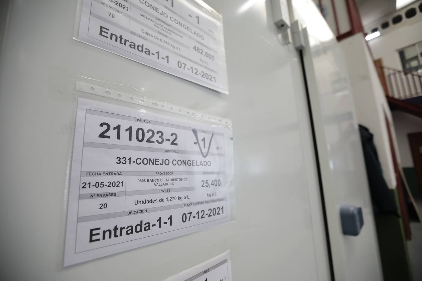 Fotos: El Banco de Alimentos de Valladolid lanza una campaña para llenar sus despensas