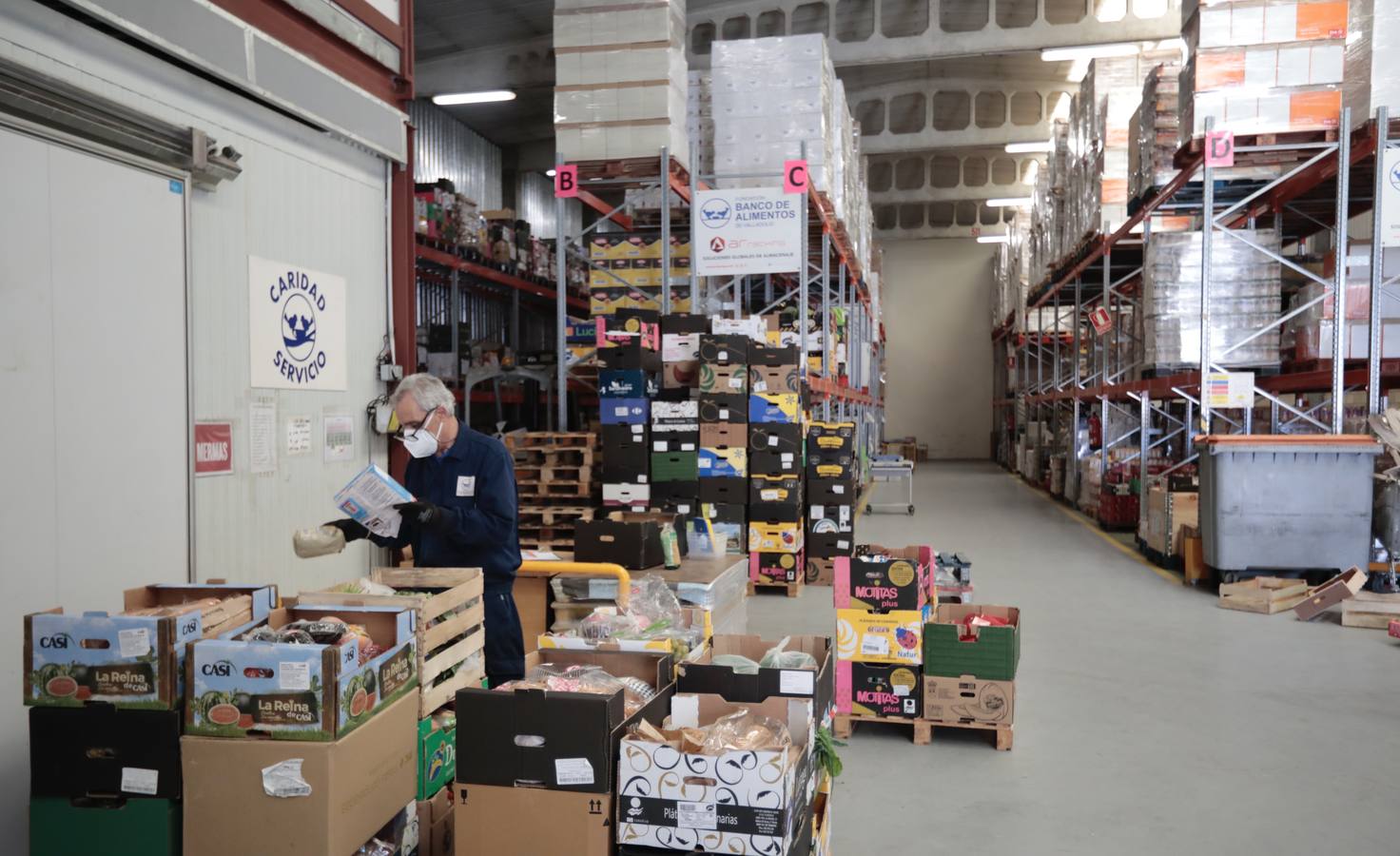 Fotos: El Banco de Alimentos de Valladolid lanza una campaña para llenar sus despensas