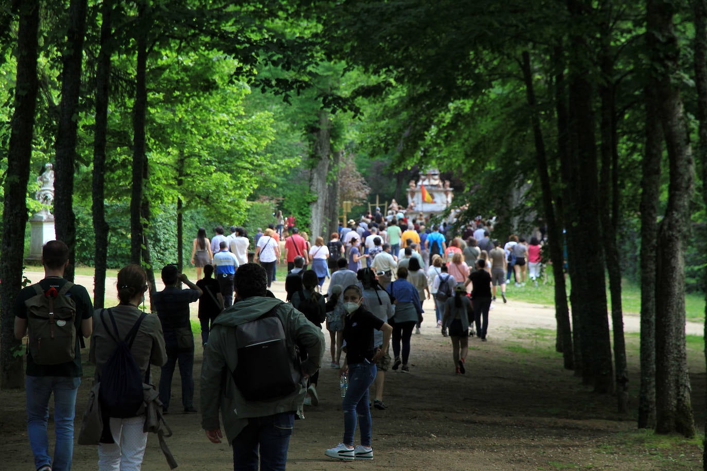La fuente de las Ranas, en pleno apogeo de su coreografía acuática este domingo en La Granja. 