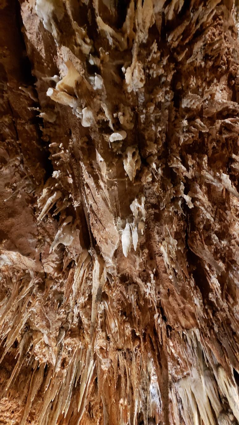 Ubicada en el corazón de la montaña leonesa la Cueva de Valporquero sigue deslumbrando una y mil veces. Un millón de años de historia convierten sus salas en un escenario al que merece la pena regresar de forma recurrente. 