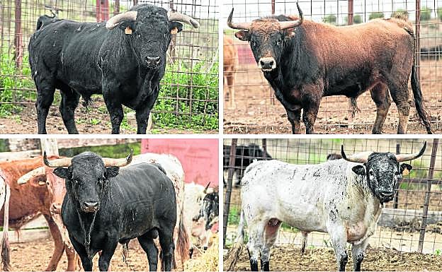 Invaror, Defensor, Almirante y Nolha.