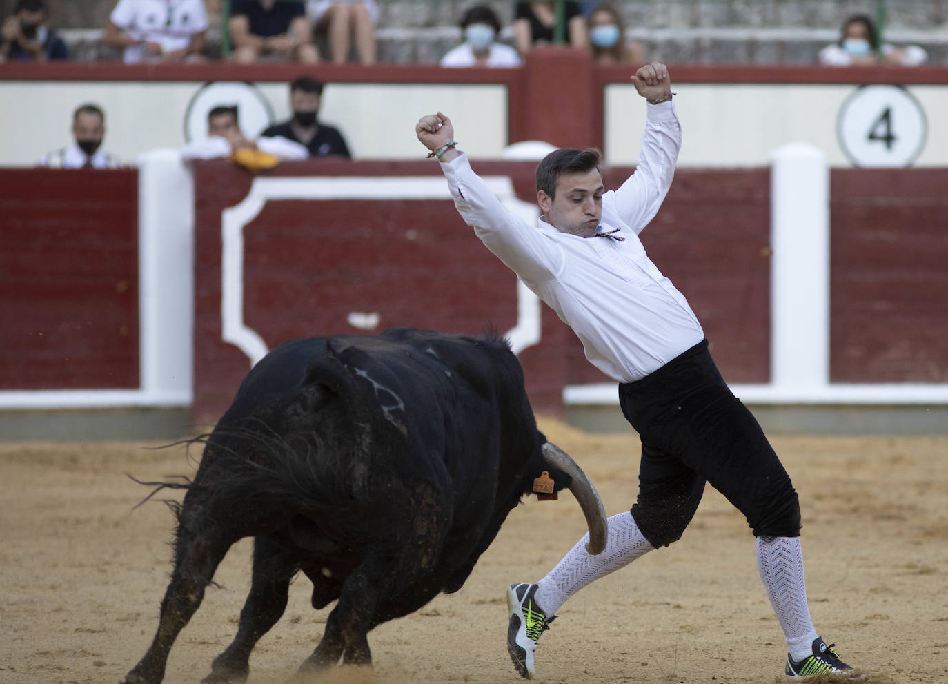 Fotos: Concurso de cortes en la Plaza de Toros de Valladolid