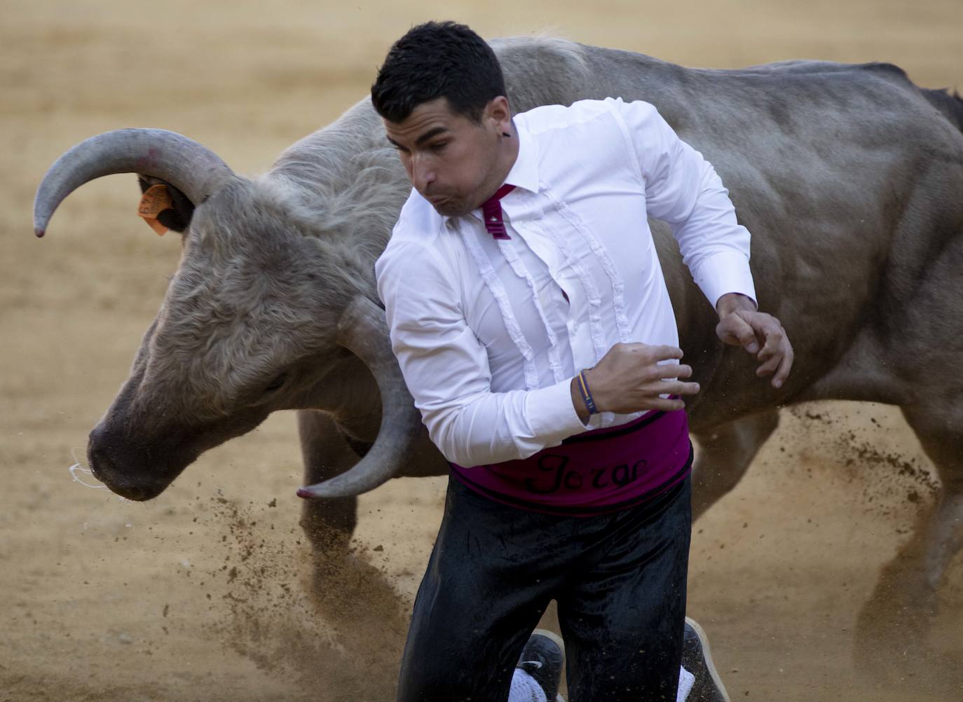 Fotos: Concurso de cortes en la Plaza de Toros de Valladolid