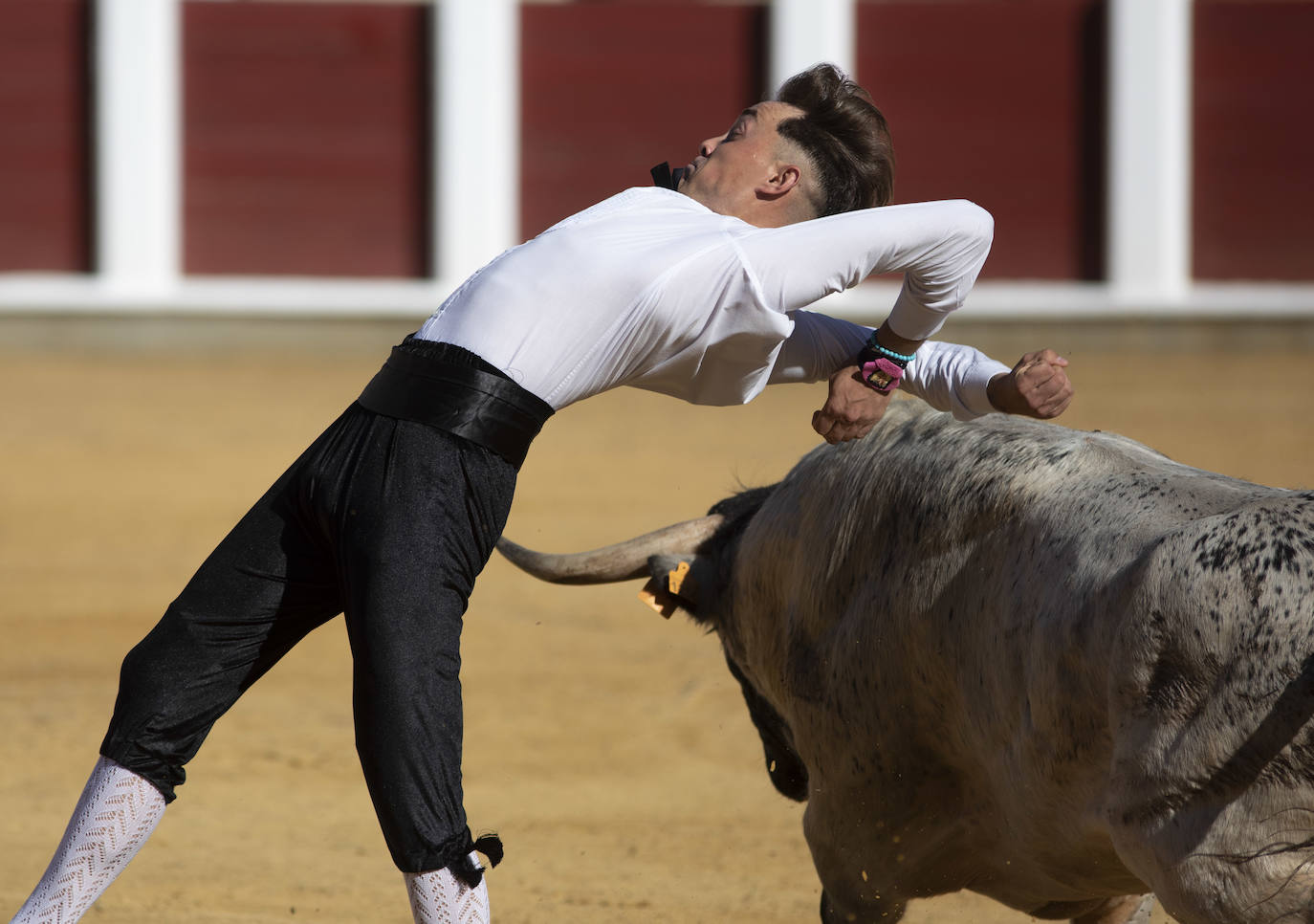 Fotos: Concurso de cortes en la Plaza de Toros de Valladolid