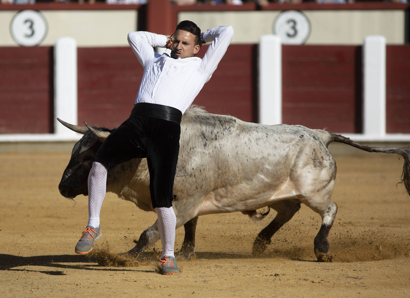 Fotos: Concurso de cortes en la Plaza de Toros de Valladolid