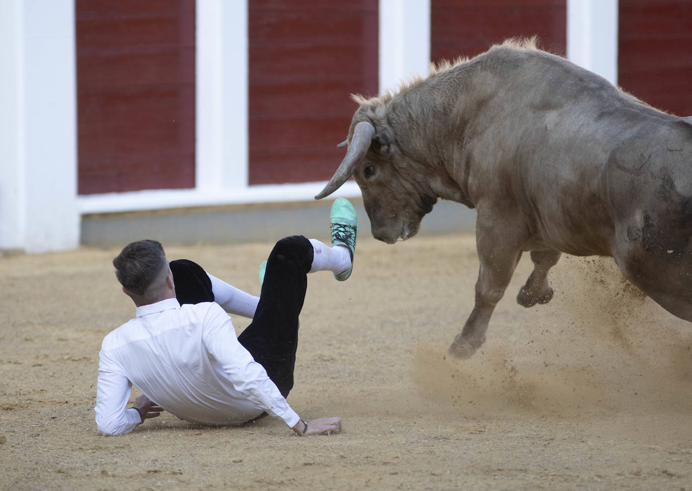 Fotos: Concurso de cortes en la Plaza de Toros de Valladolid