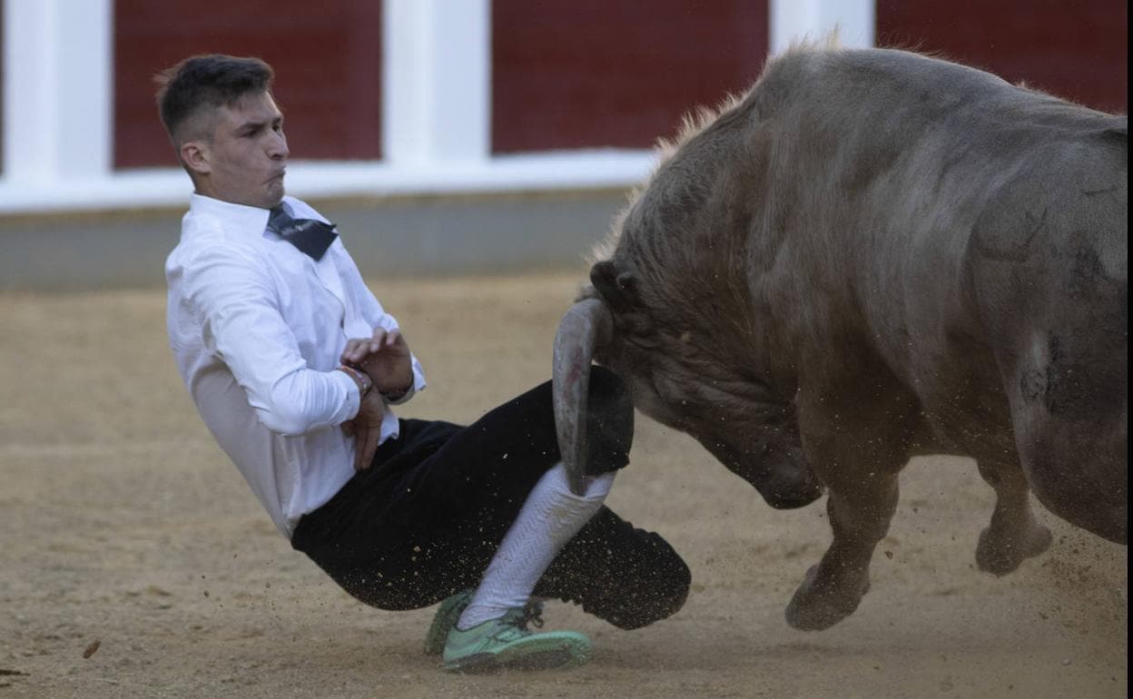 Cristian Rubio se sobrepone a dos cogidas para ganar el concurso de cortes  en la vuelta de los toros a Valladolid | El Norte de Castilla