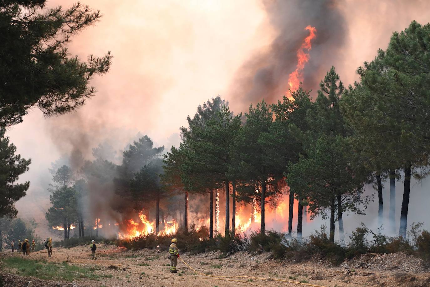 Fotos: Incendio en Serradilla del Arroyo