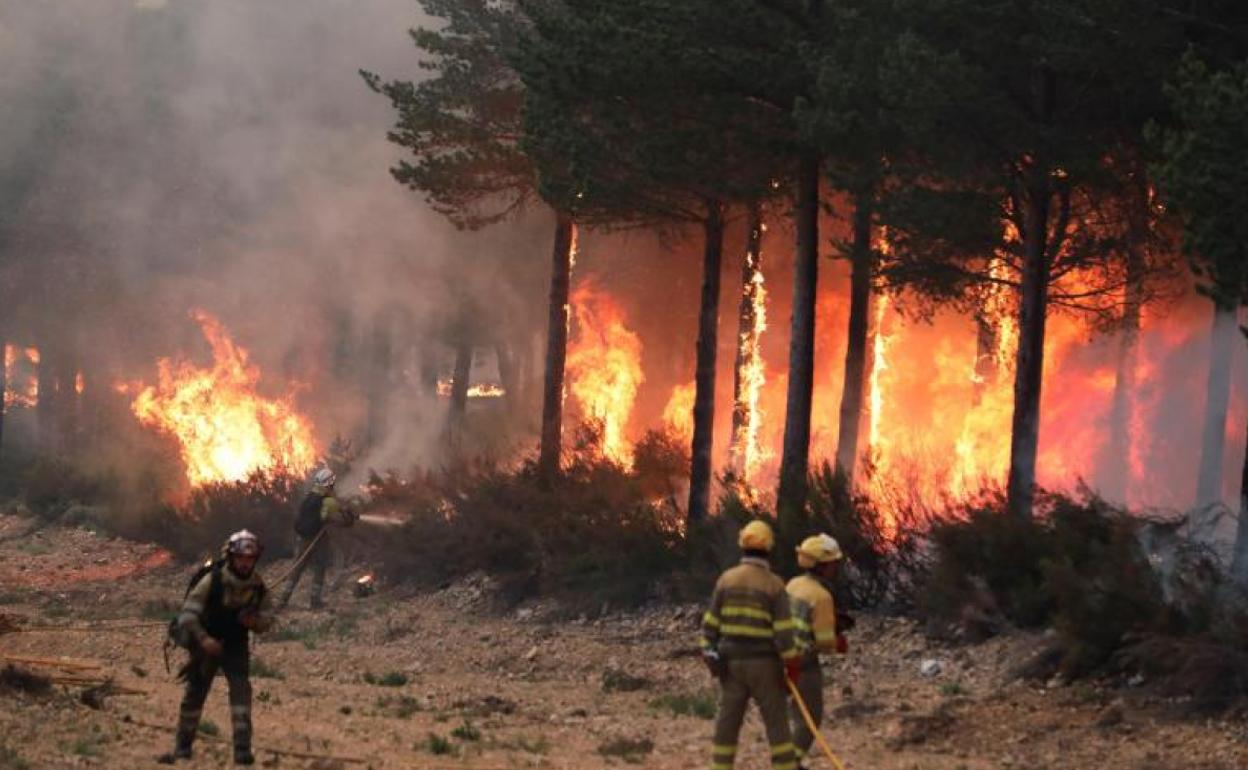 Incendio que comenzó ayer en Serradilla del Arroyo (Salamanca) 