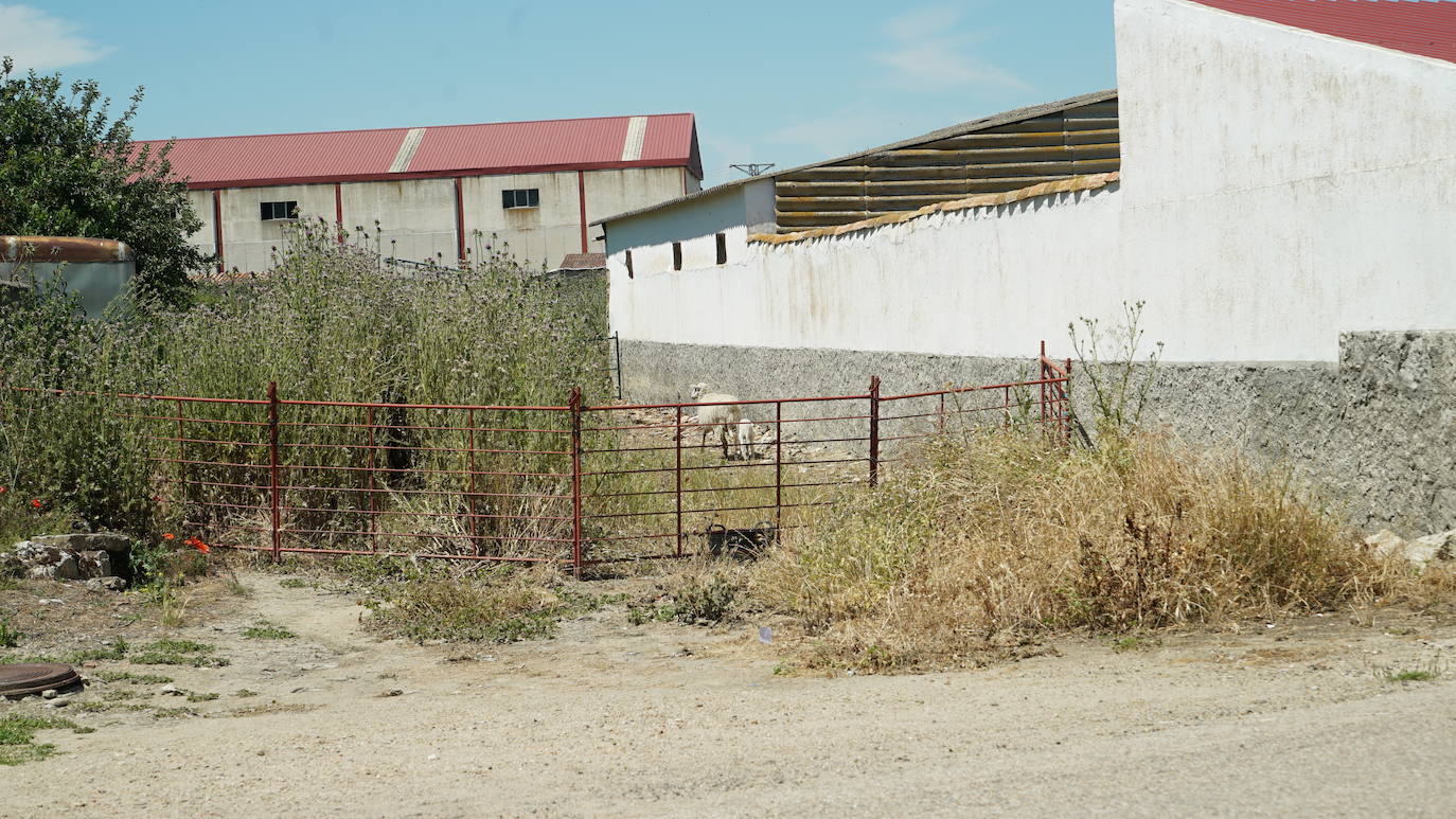 Fotos: ¿Reconoces el pueblo en el que estoy?