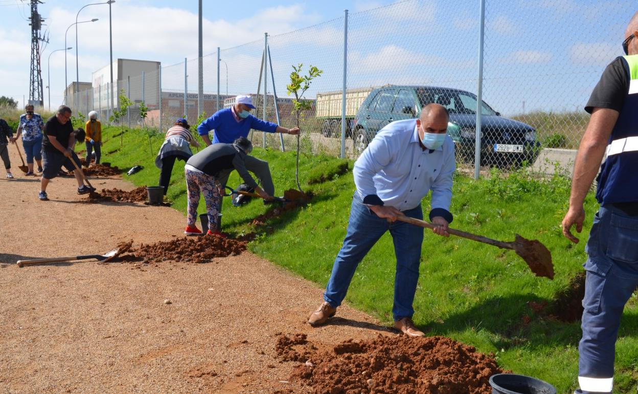 El alcalde del municipio, Ventura Recio, ha participado en la plantación de los frutales 