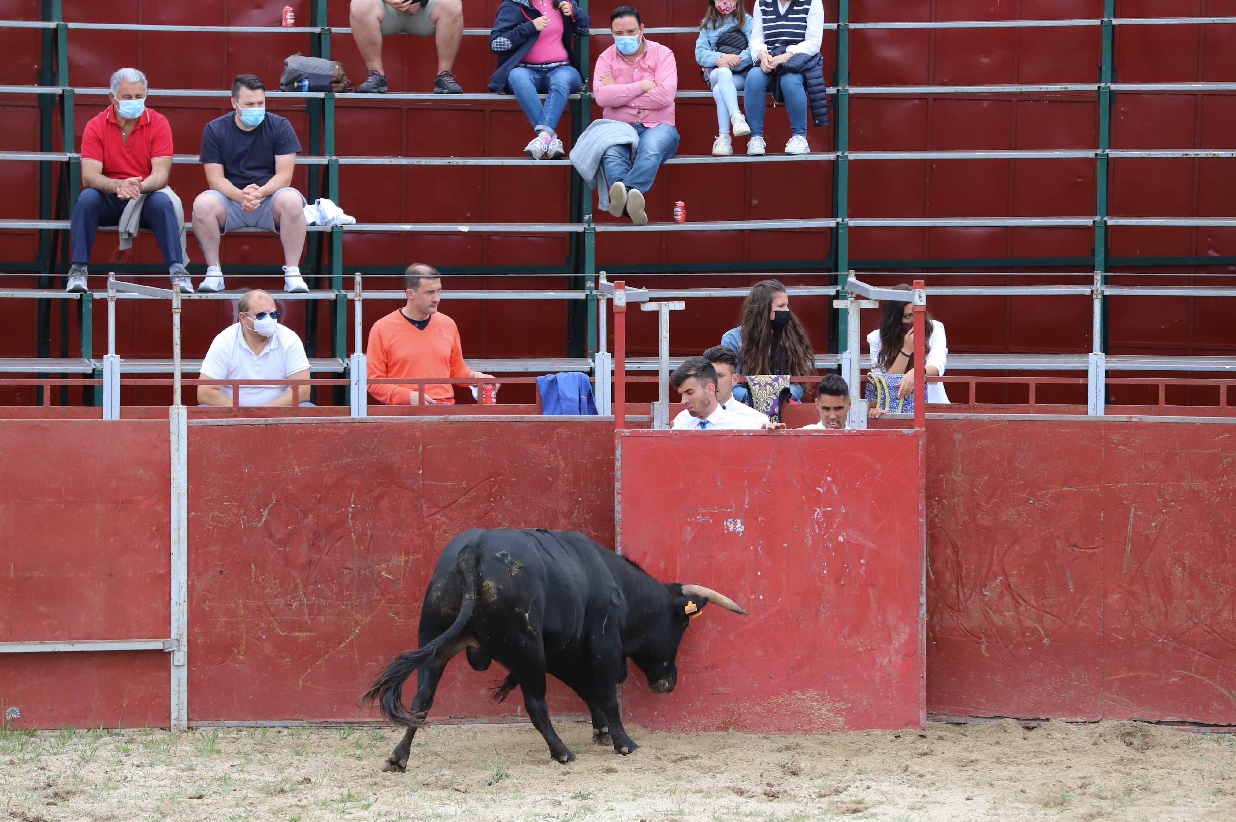 Concurso de recortes en Carrascal de Barregas