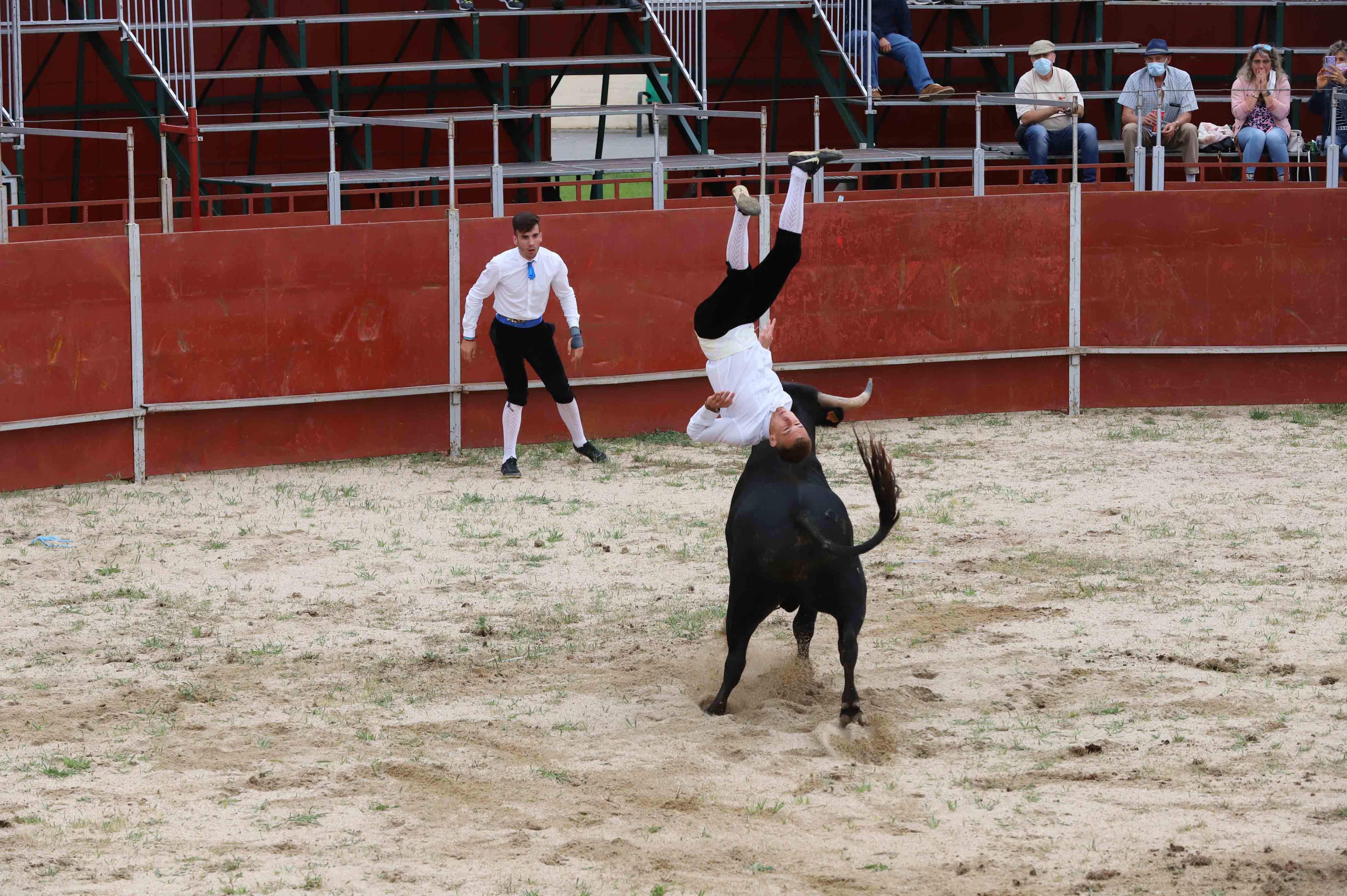 Concurso de recortes en Carrascal de Barregas