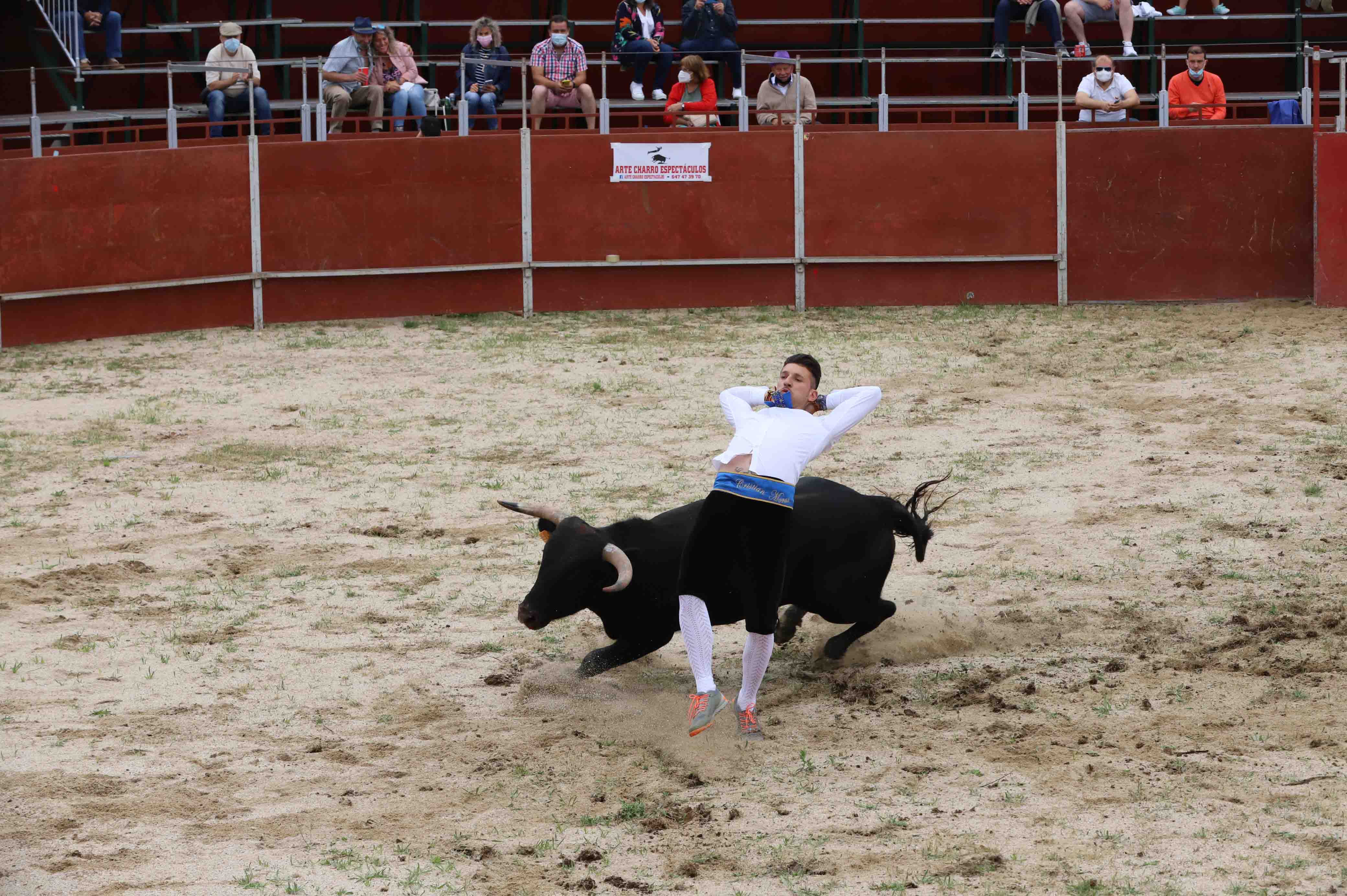 Concurso de recortes en Carrascal de Barregas