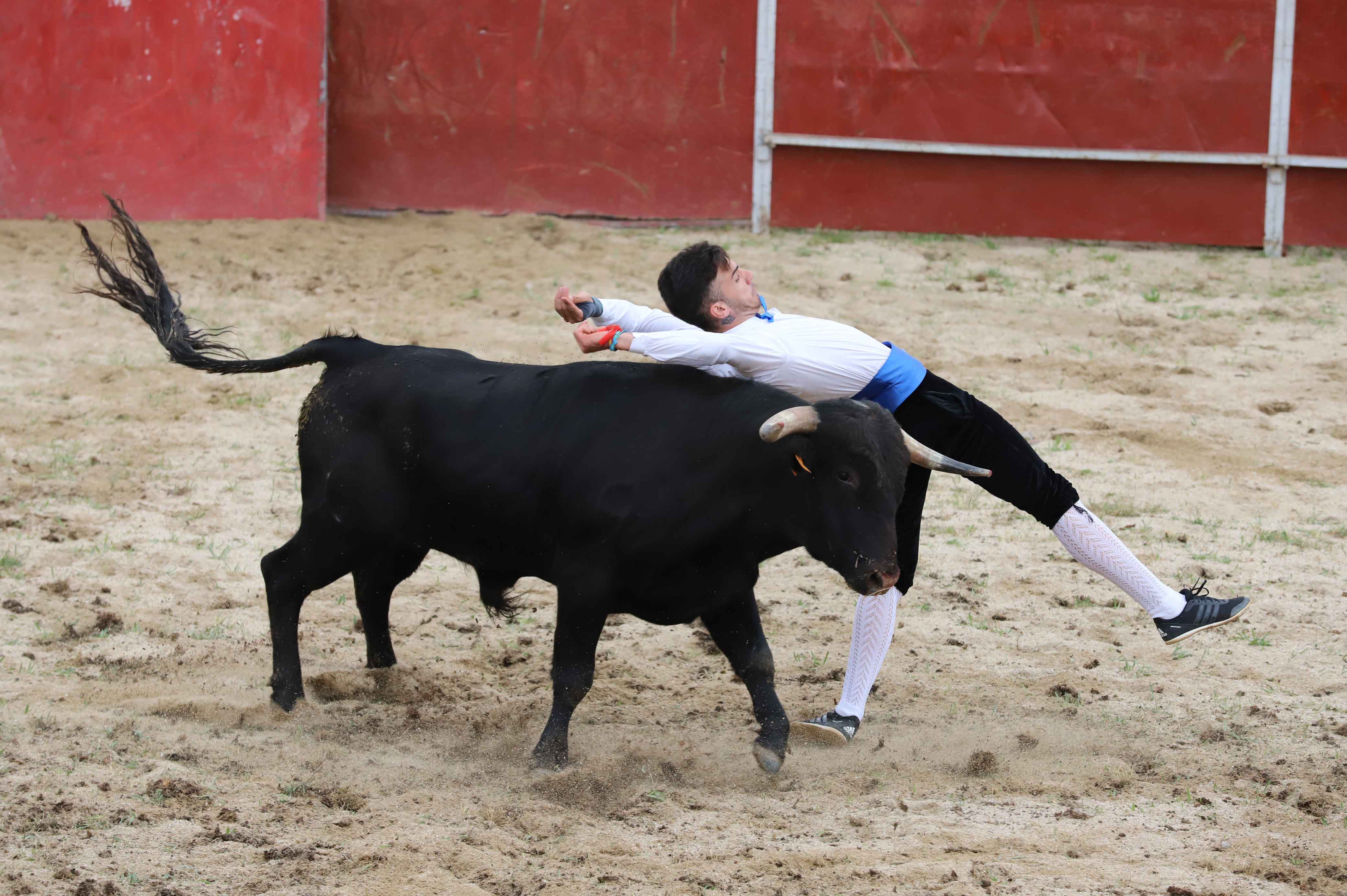 Concurso de recortes en Carrascal de Barregas