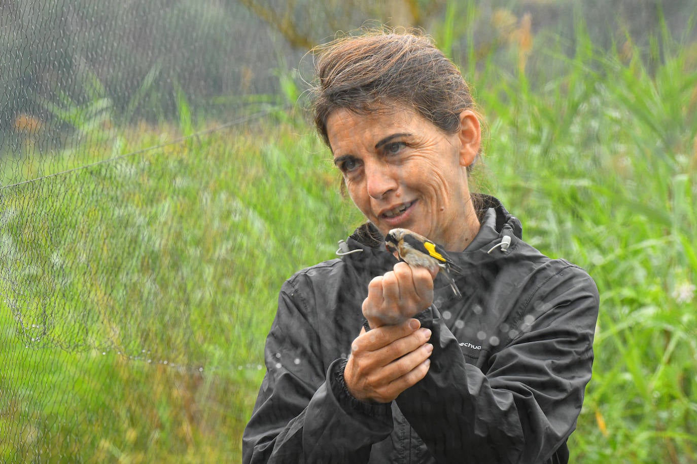 Fotos: Anillado de aves en Castronuño