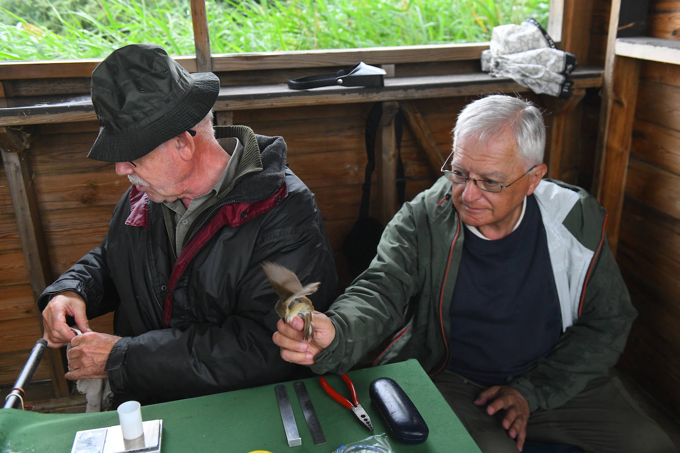 Fotos: Anillado de aves en Castronuño