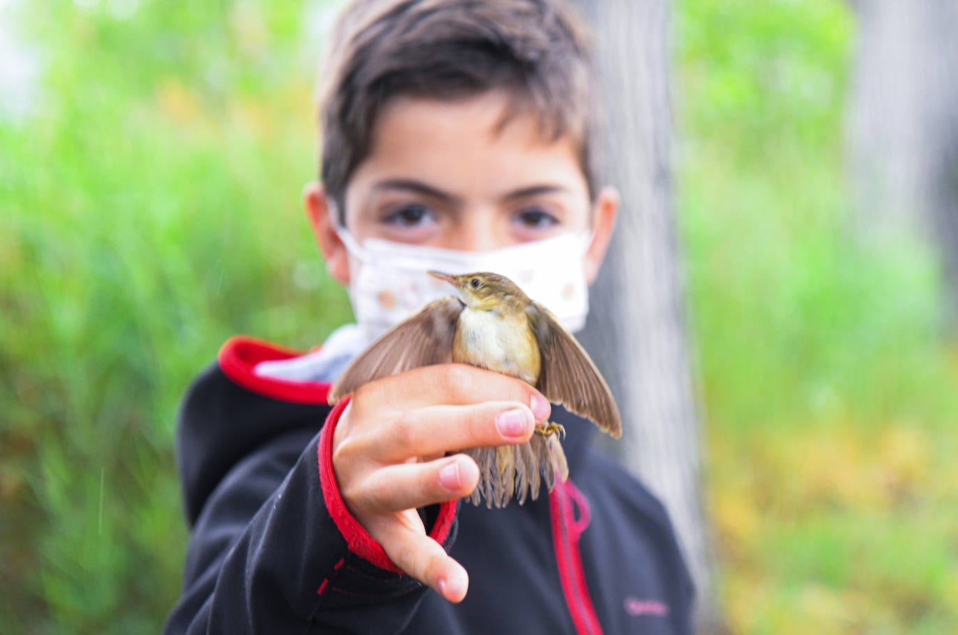 Fotos: Anillado de aves en Castronuño
