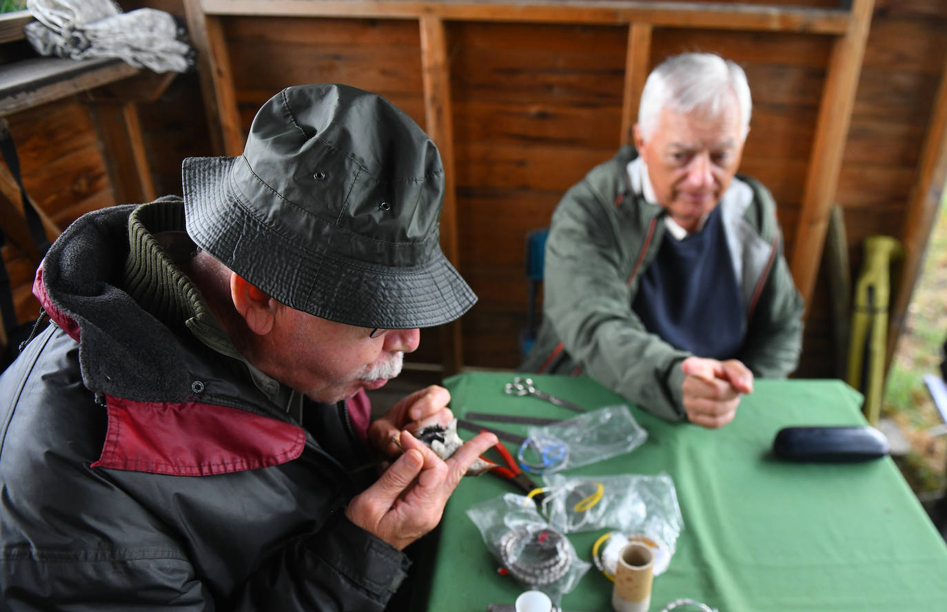 Fotos: Anillado de aves en Castronuño
