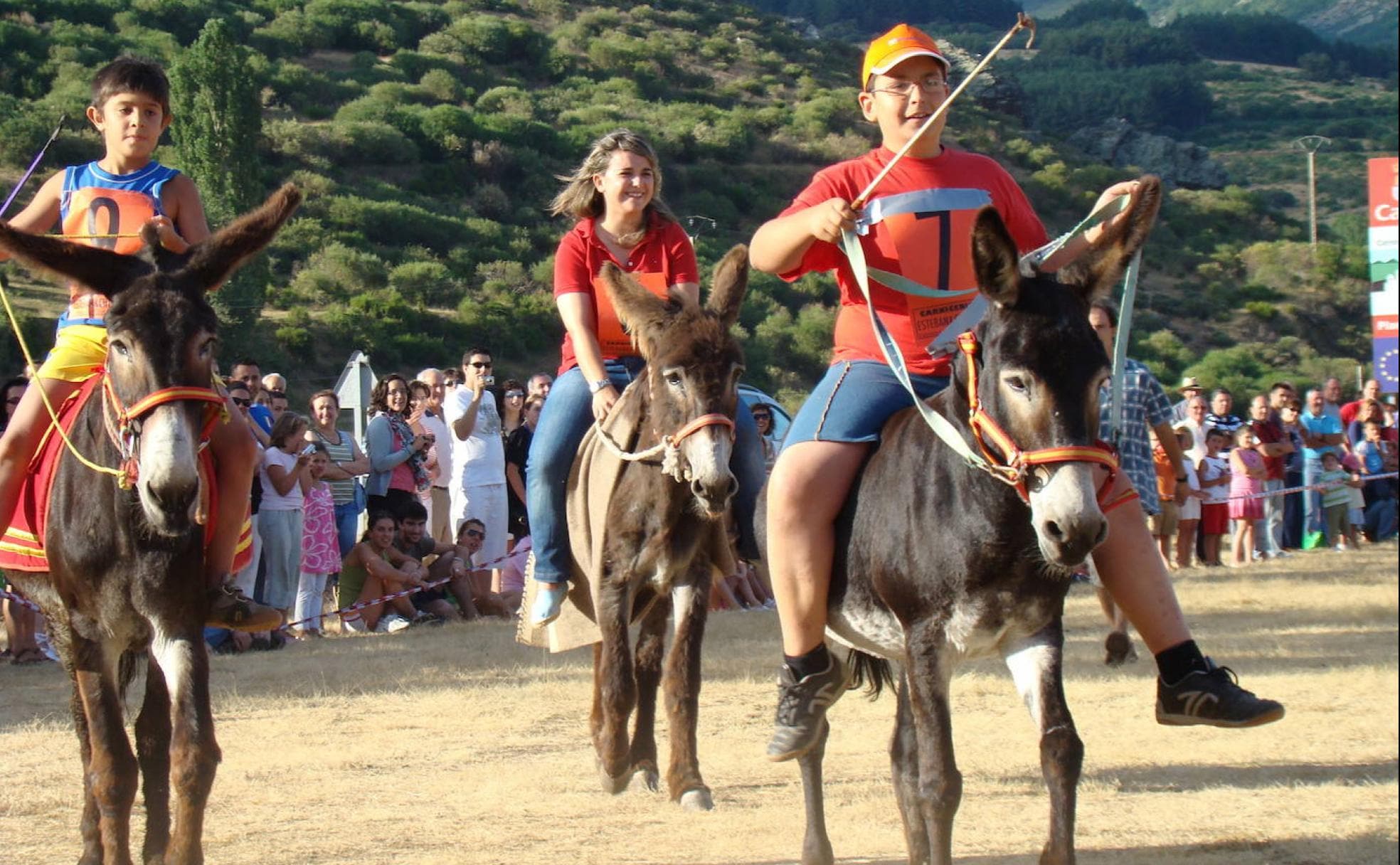 Aula de Música on X: El mundo cencerros para vacas, caballos y