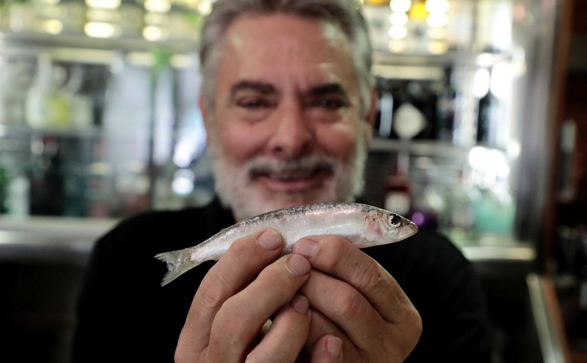Paco Espinosa muestra una sardina fresca. 