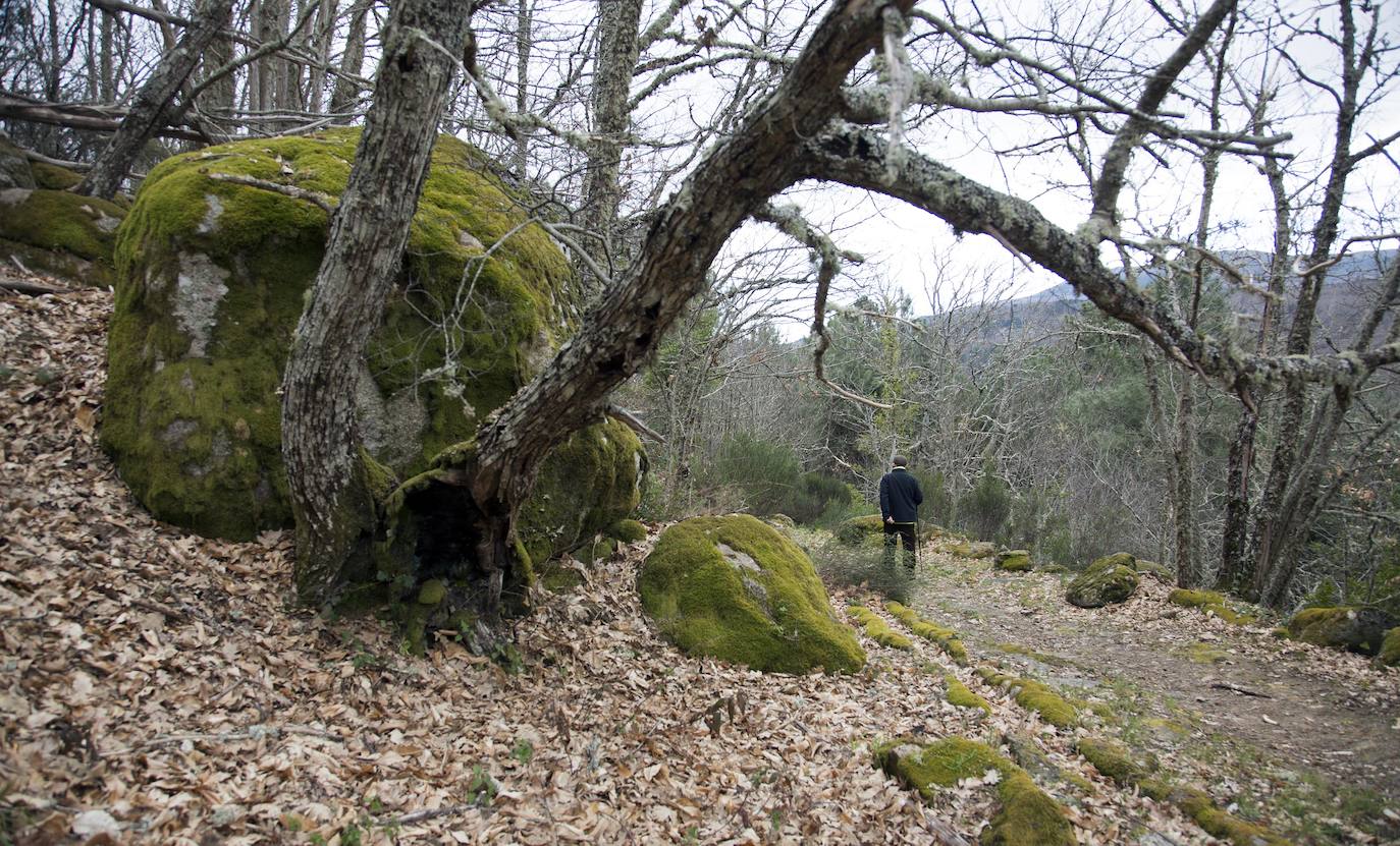 Sierra de Francia (Salamanca)